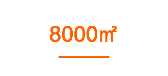 8000